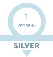статус silver
